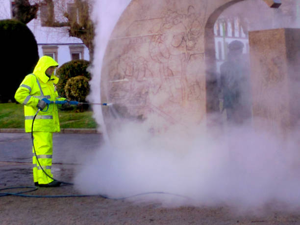 Best Roof Power Washing Services  in Greenfield, CA
